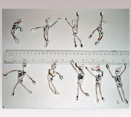 Hanni Sager, 9 Skeleton Figurines